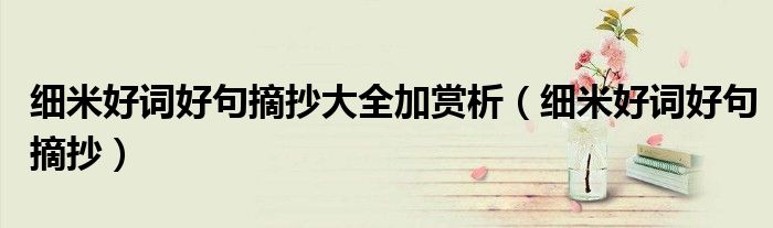 细米好词好句摘抄大全加赏析(细米好词好句摘抄)