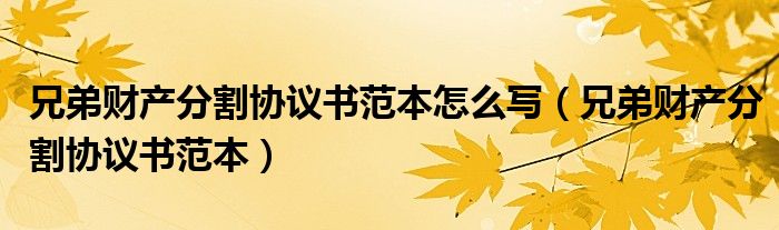 兄弟财产分割协议书范本怎么写(兄弟财产分割协议书范本)