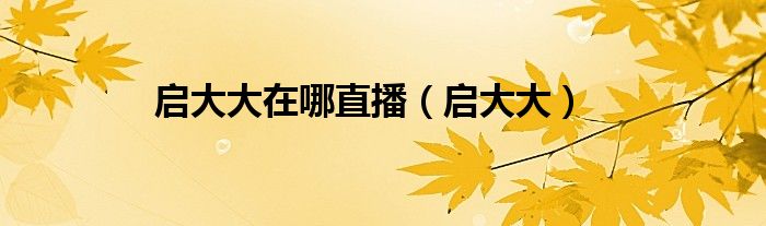 启大大在哪直播（启大大）