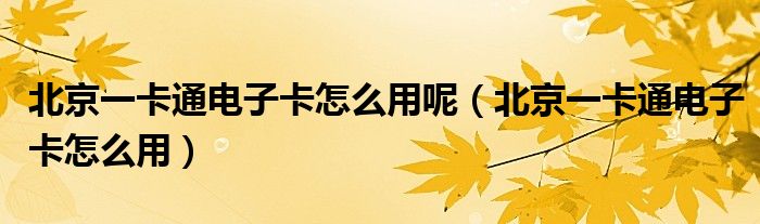 北京一卡通电子卡怎么用呢(北京一卡通电子卡怎么用)