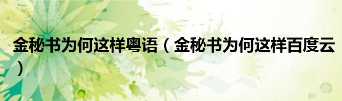 金秘书为何这样粤语(金秘书为何这样百度云)