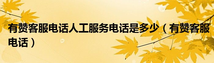 有赞客服电话人工服务电话是多少(有赞客服电话)