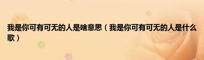 我是你可有可无的人是啥意思(我是你可有可无的人是什么歌)