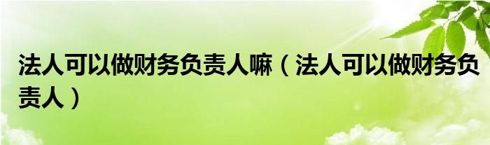 法人可以做财务负责人嘛(法人可以做财务负责人)