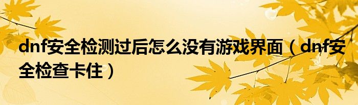 dnf安全检测过后怎么没有游戏界面(dnf安全检查卡住)