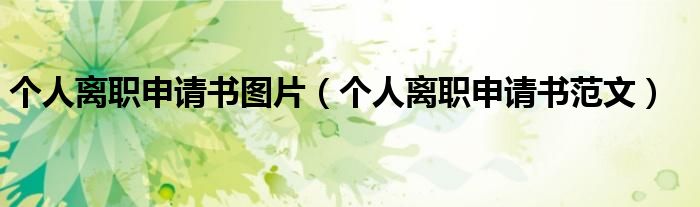 个人离职申请书图片(个人离职申请书范文)