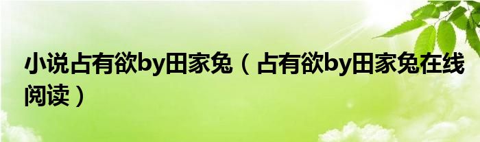 小说占有欲by田家兔(占有欲by田家兔在线阅读)