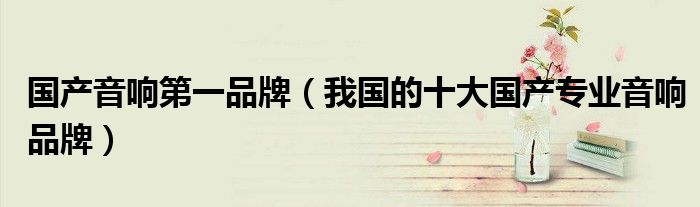 国产音响第一品牌(我国的十大国产专业音响品牌)