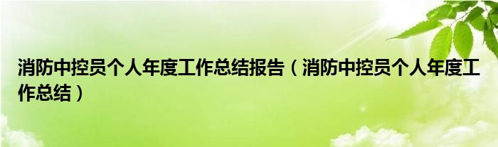 消防中控员个人年度工作总结报告(消防中控员个人年度工作总结)