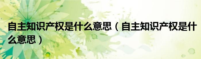 自主知识产权是什么意思(自主知识产权是什么意思)