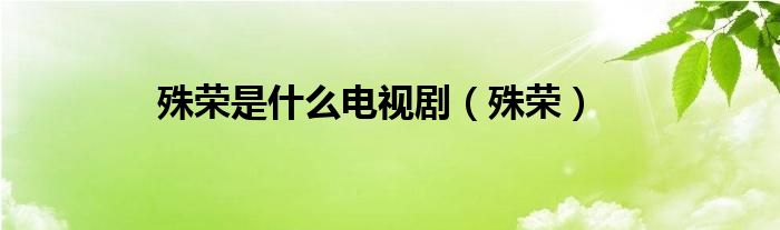 殊荣是什么电视剧（殊荣）