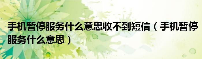 手机暂停服务什么意思收不到短信(手机暂停服务什么意思)