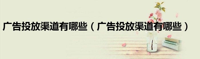 广告投放渠道有哪些(广告投放渠道有哪些)
