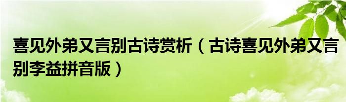 喜见外弟又言别古诗赏析(古诗喜见外弟又言别李益拼音版)