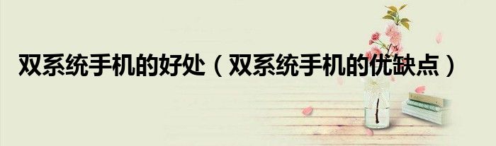 双系统手机的好处(双系统手机的优缺点)
