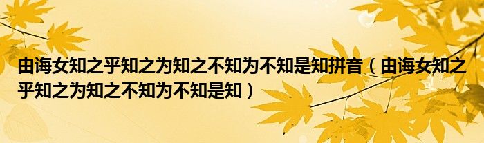 由诲女知之乎知之为知之不知为不知是知拼音(由诲女知之乎知之为知之不知为不知是知)