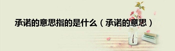 承诺的意思指的是什么(承诺的意思)