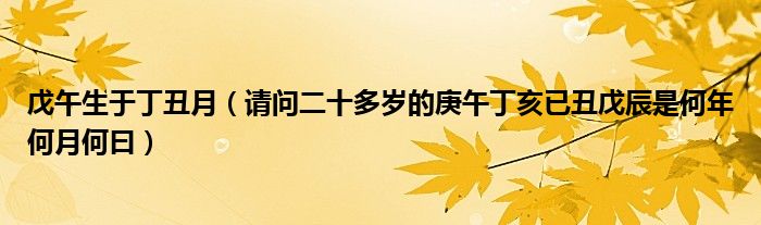 戊午生于丁丑月(请问二十多岁的庚午丁亥已丑戊辰是何年何月何曰)