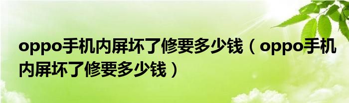 oppo手机内屏坏了修要多少钱(oppo手机内屏坏了修要多少钱)