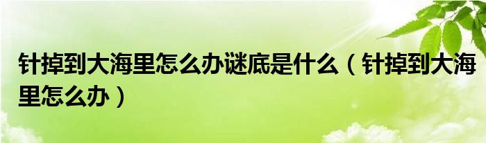 针掉到大海里怎么办谜底是什么(针掉到大海里怎么办)