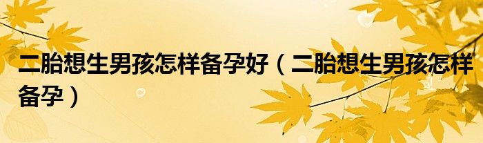 二胎想生男孩怎样备孕好(二胎想生男孩怎样备孕)