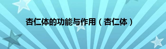 杏仁体的功能与作用(杏仁体)