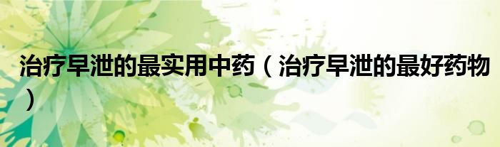 治疗早泄的最实用中药(治疗早泄的最好药物)