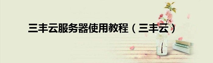 三丰云服务器使用教程(三丰云)