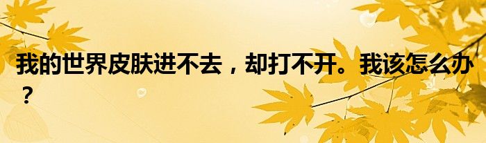 我的世界皮肤进不去,却打不开。我该怎么办?