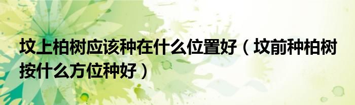 坟上柏树应该种在什么位置好(坟前种柏树 按什么方位种好)
