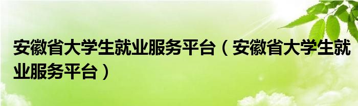 安徽省大学生就业服务平台(安徽省大学生就业服务平台)