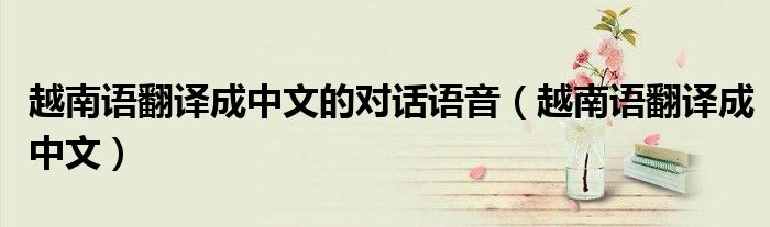 越南语翻译成中文的对话语音(越南语翻译成中文)
