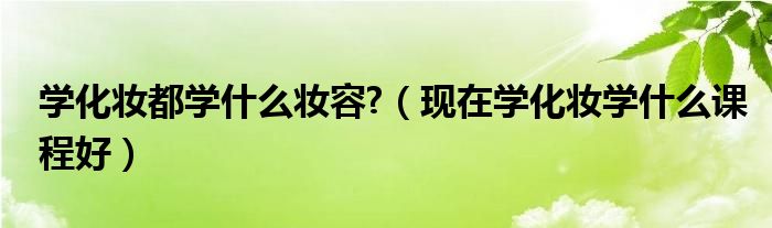 学化妆都学什么妆容?(现在学化妆学什么课程好)