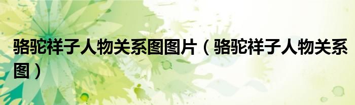 骆驼祥子人物关系图图片(骆驼祥子人物关系图)