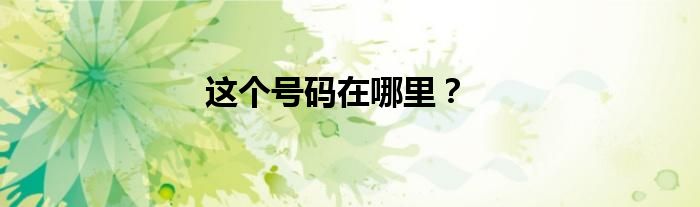 这个号码在哪里？