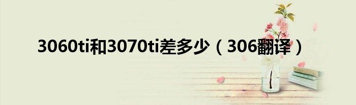 3060ti和3070ti差多少（306翻译）