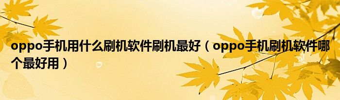 oppo手机用什么刷机软件刷机最好(oppo手机刷机软件哪个最好用)