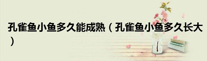 孔雀鱼小鱼多久能成熟(孔雀鱼小鱼多久长大)
