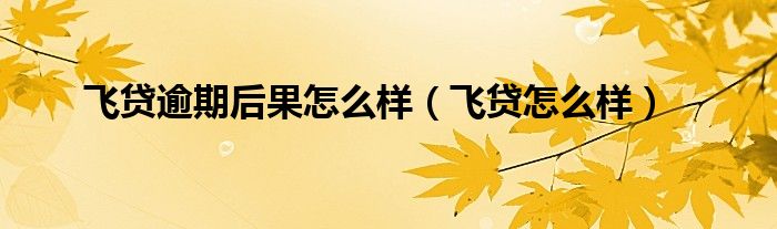 飞贷逾期后果怎么样(飞贷怎么样)