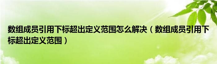 数组成员引用下标超出定义范围怎么解决(数组成员引用下标超出定义范围)