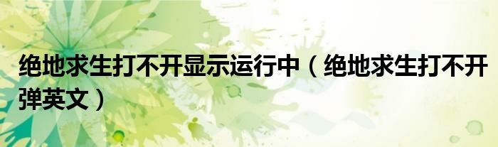 绝地求生打不开显示运行中(绝地求生打不开弹英文)