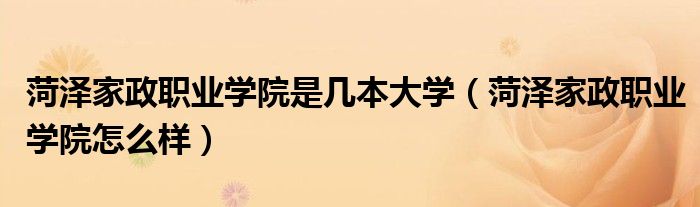 菏泽家政职业学院是几本大学(菏泽家政职业学院怎么样)