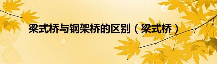 梁式桥与钢架桥的区别(梁式桥)