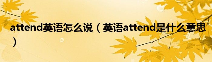 attend英语怎么说(英语attend是什么意思)