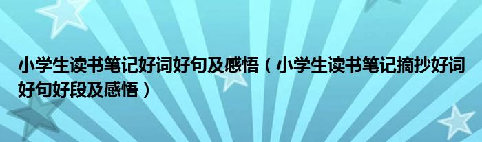 小学生读书笔记好词好句及感悟(小学生读书笔记摘抄好词好句好段及感悟)