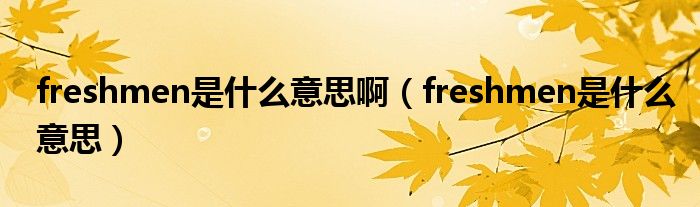 freshmen是什么意思啊(freshmen是什么意思)