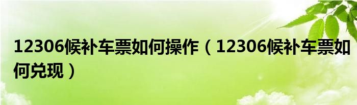 12306候补车票如何操作(12306候补车票如何兑现)