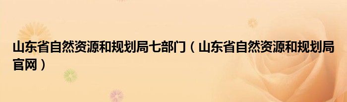 山东省自然资源和规划局七部门(山东省自然资源和规划局官网)