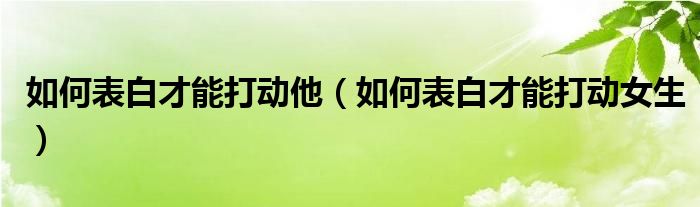 如何表白才能打动他(如何表白才能打动女生)