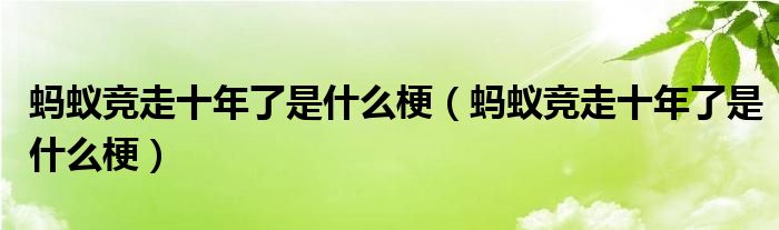 蚂蚁竞走十年了是什么梗(蚂蚁竞走十年了是什么梗)